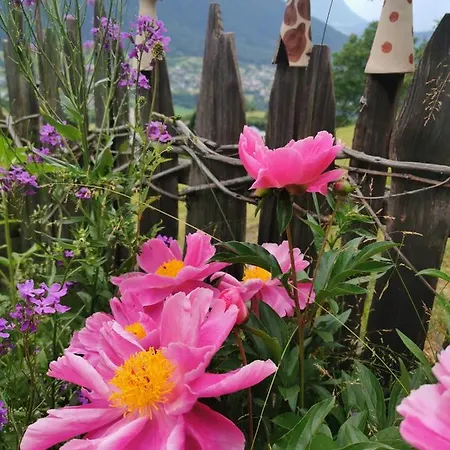 Apartment Wieserhof Tirol Oetz