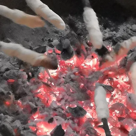 Wieserhof Tirol * אוץ