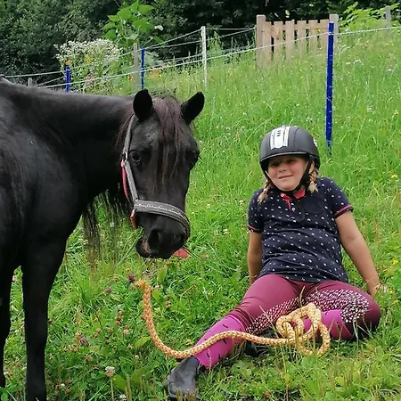 Wieserhof Tirol شقة