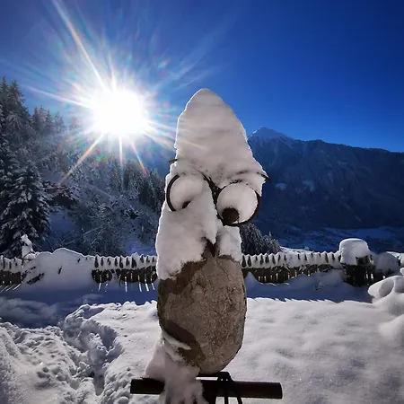 Wieserhof Tirol Апартаменты *