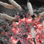 Wieserhof Tirol * Oetz