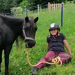 Wieserhof Tirol Apartman