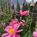 Apartamento Wieserhof Tirol Oetz