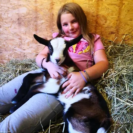 Wieserhof Tirol Daire